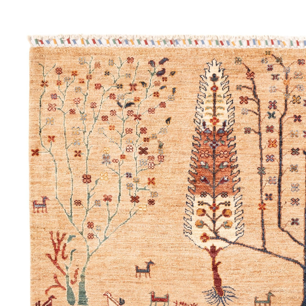 Ziegler Carpet - Ariana - 236 x 173 cm - beige