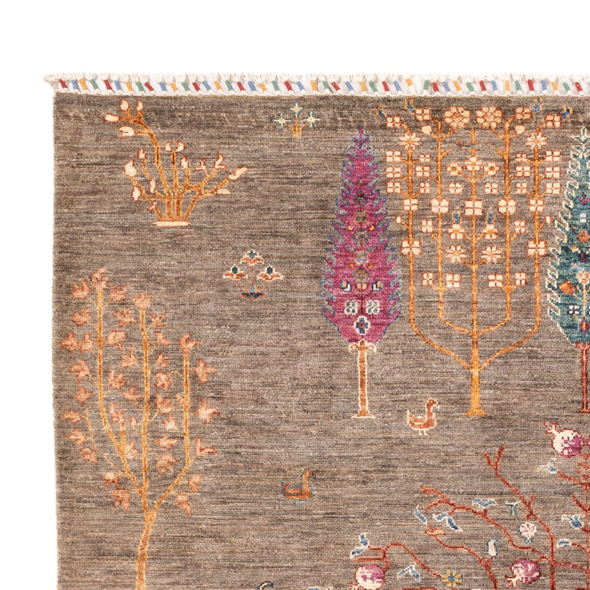 Ziegler Carpet - Ariana - 237 x 171 cm - grå