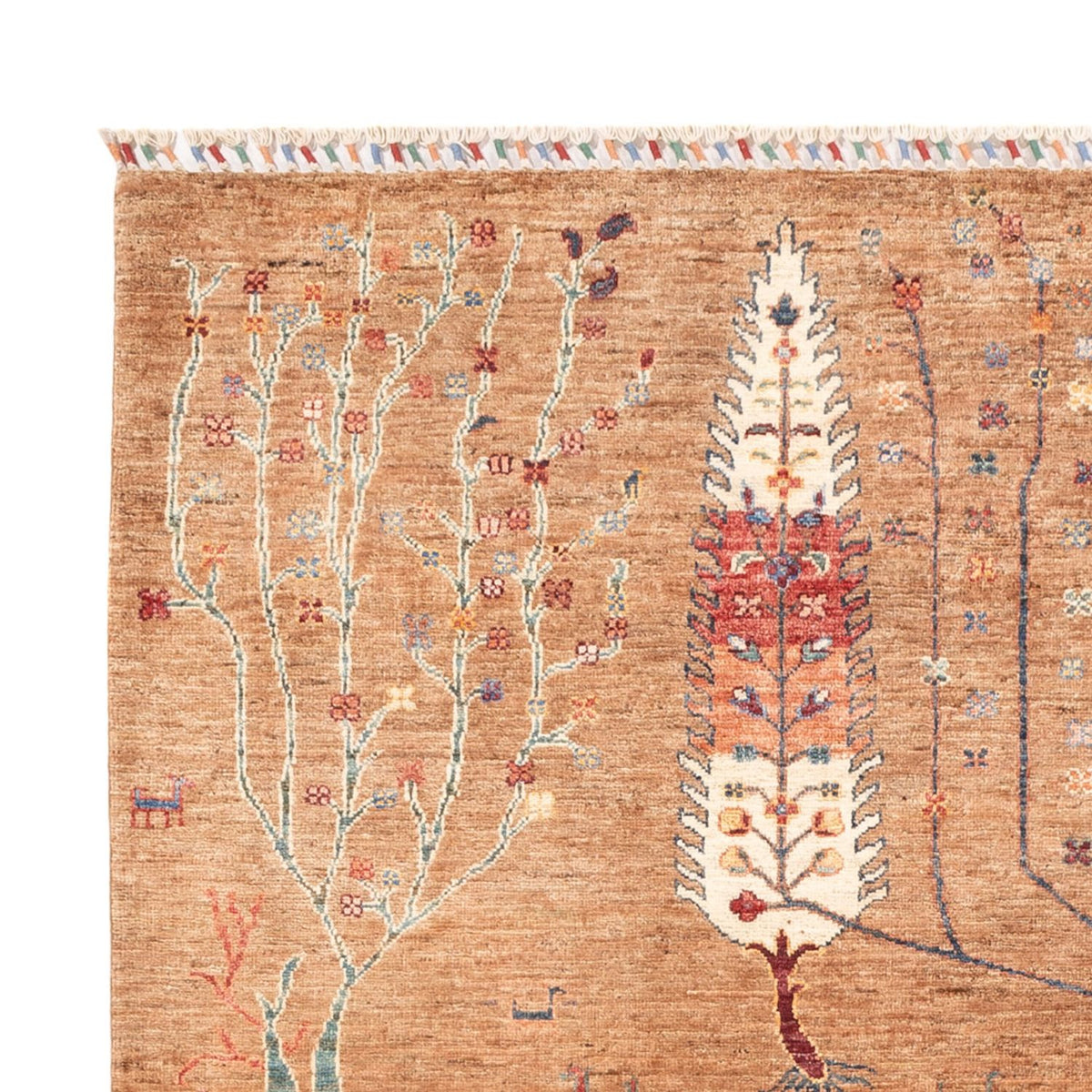 Ziegler Carpet - Ariana - 237 x 173 cm - lys beige