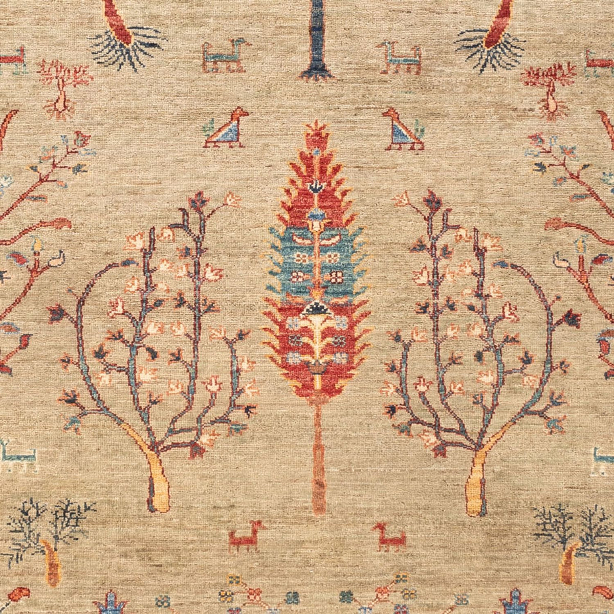 Ziegler Carpet - Ariana - 235 x 172 cm - lysegrå