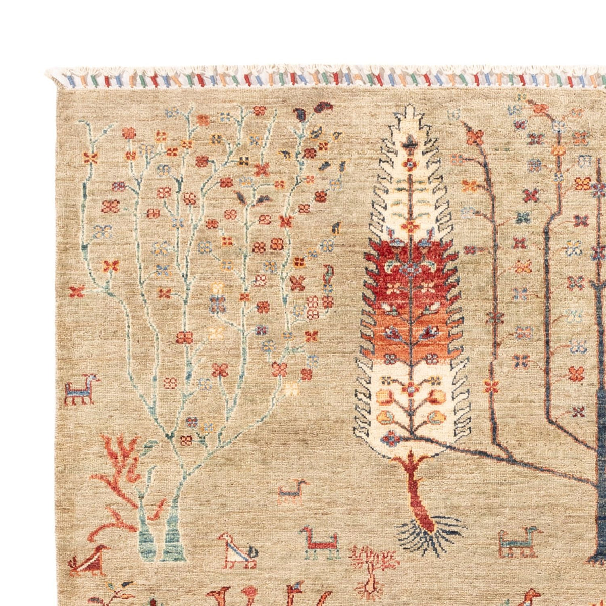 Ziegler Carpet - Ariana - 235 x 172 cm - lysegrå