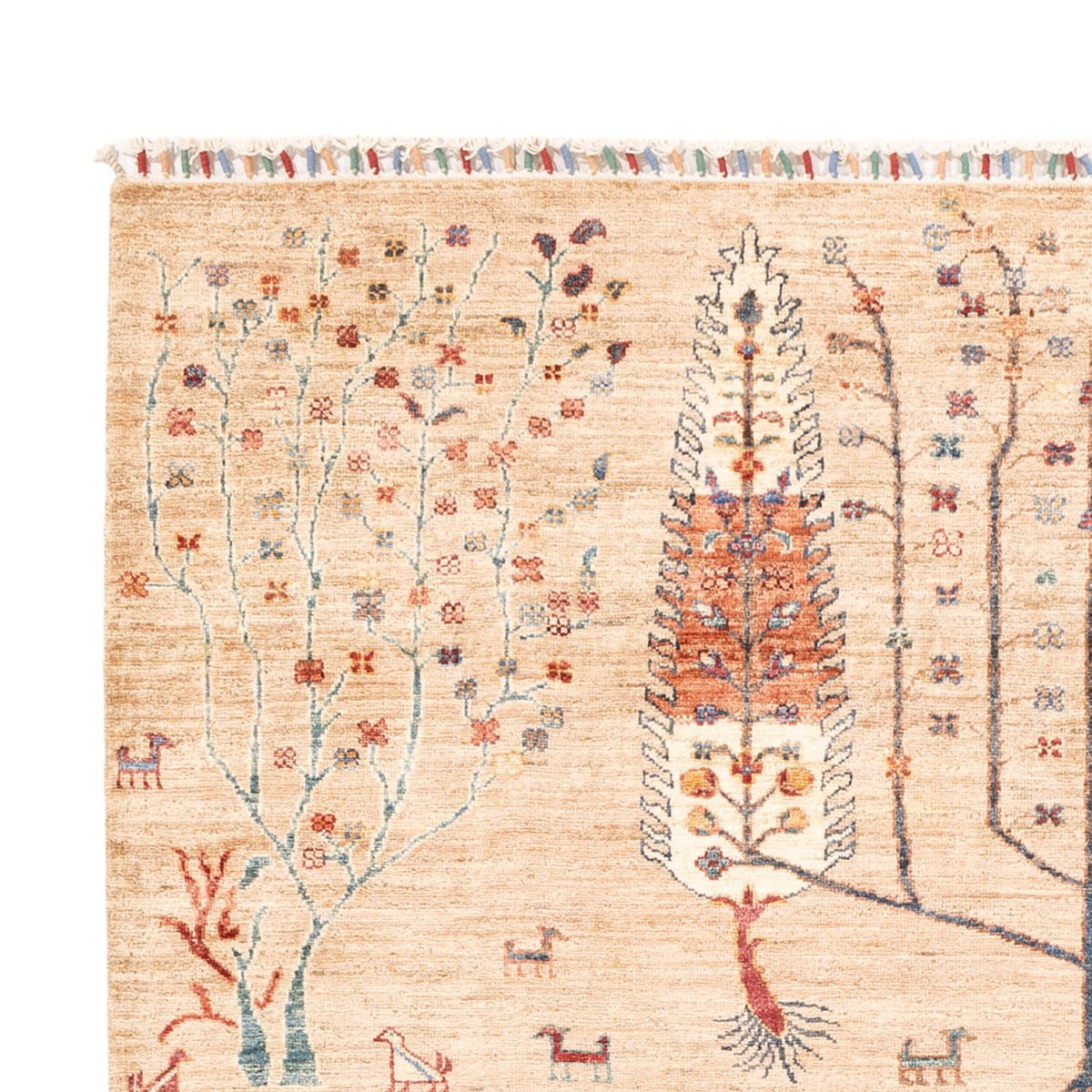 Ziegler Carpet - Ariana - 230 x 170 cm - lys beige