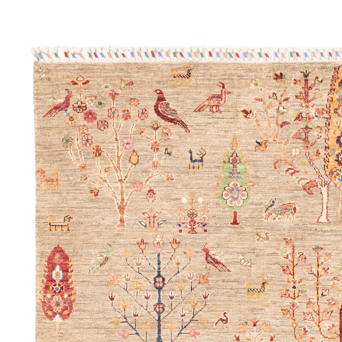 Ziegler Carpet - Ariana - 242 x 169 cm - lys beige