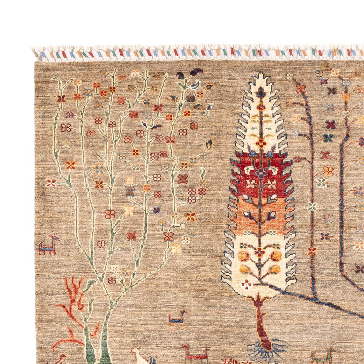 Ziegler Carpet - Ariana - 240 x 169 cm - mørk beige