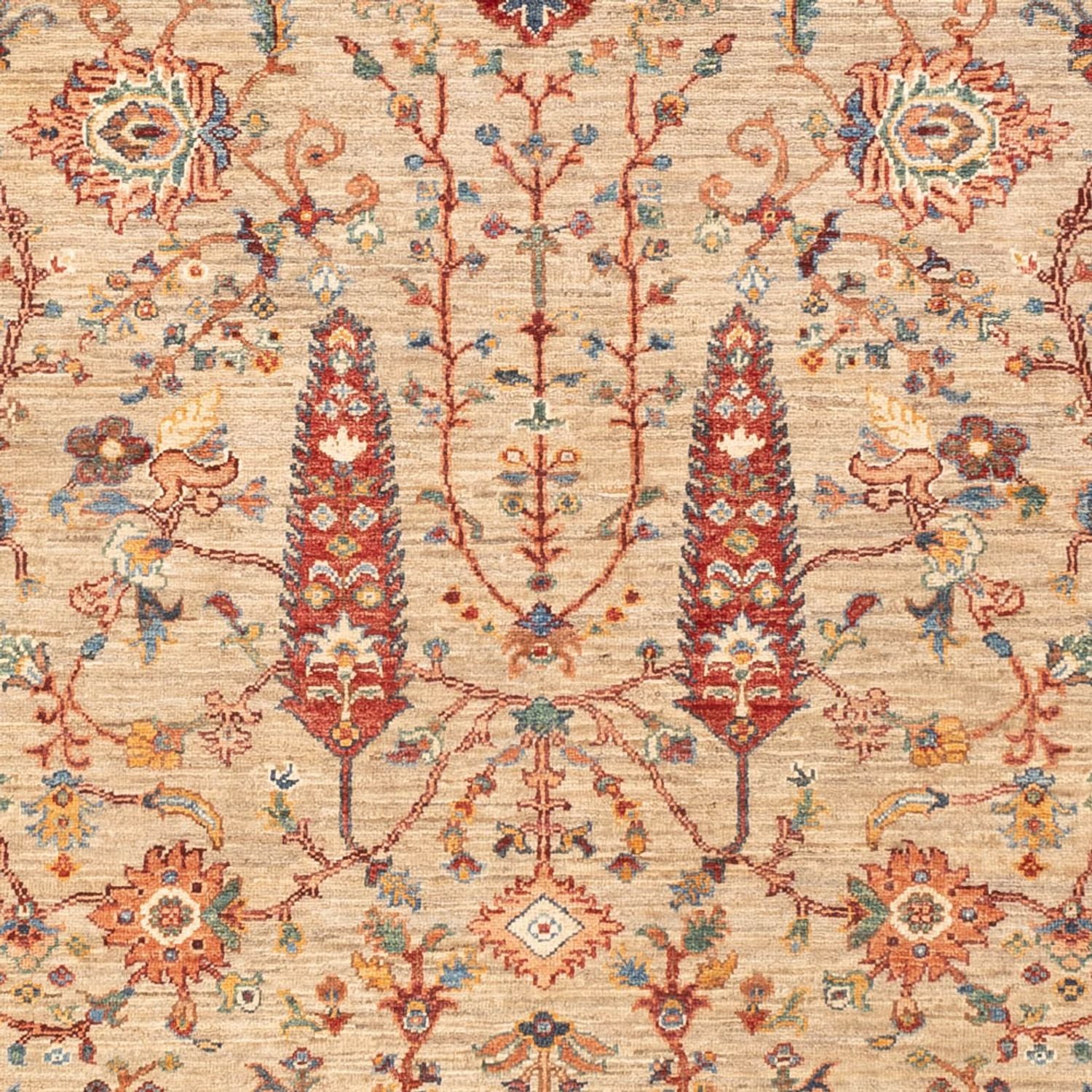 Ziegler Carpet - Ariana - 233 x 168 cm - beige