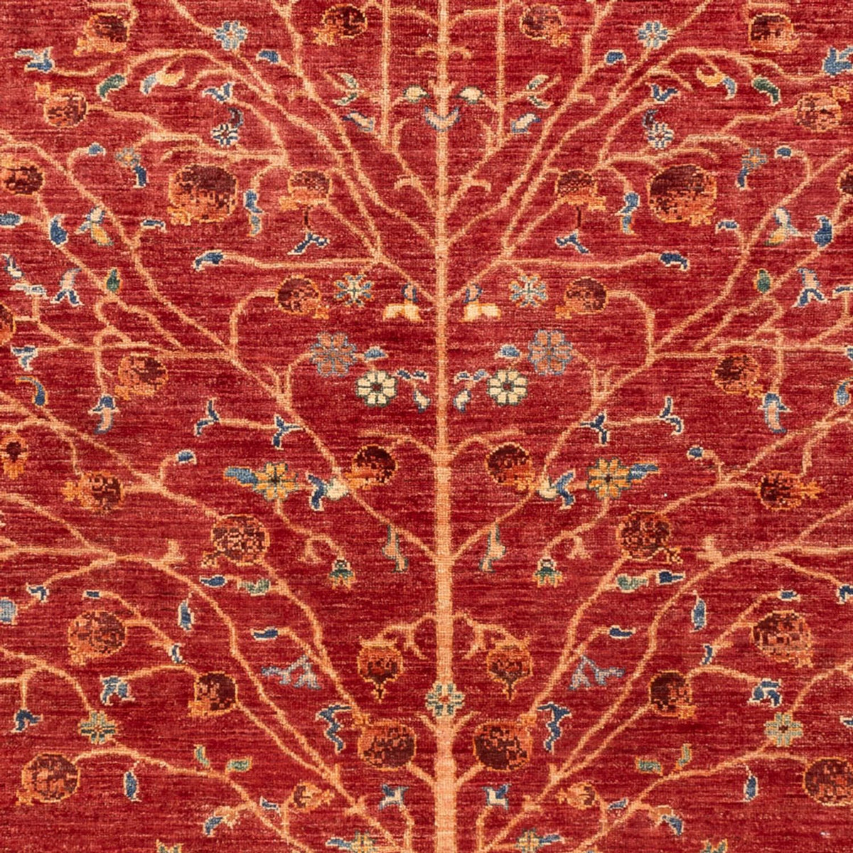 Ziegler Carpet - Ariana - 237 x 174 cm - rød