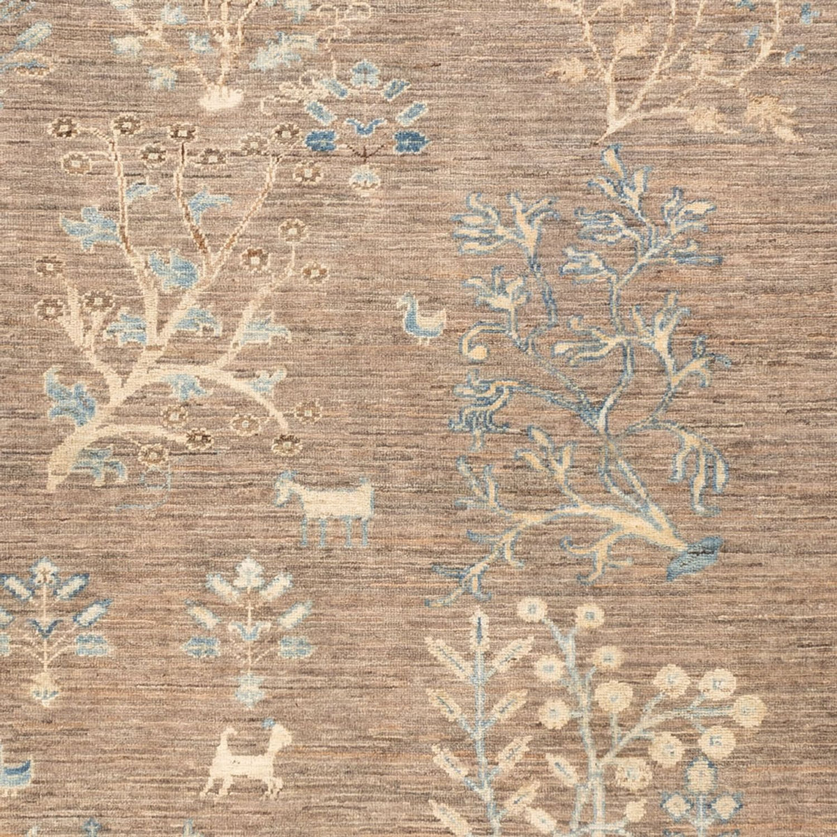 Ziegler Carpet - Ariana - Royal - 236 x 170 cm - sand