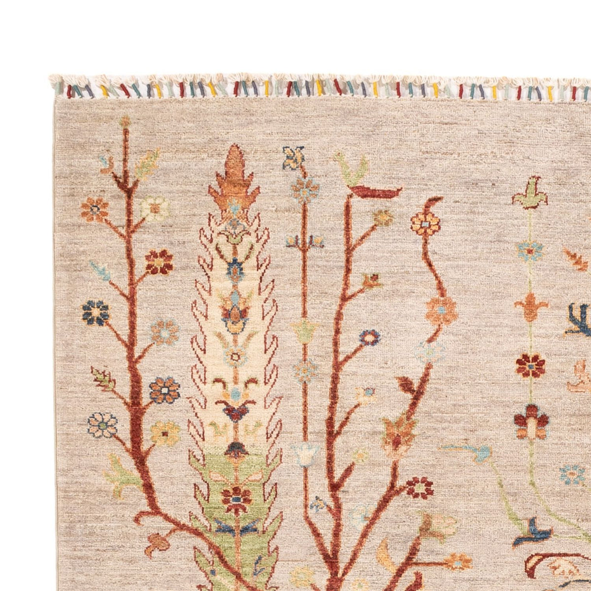 Ziegler Carpet - Ariana - 239 x 167 cm - creme