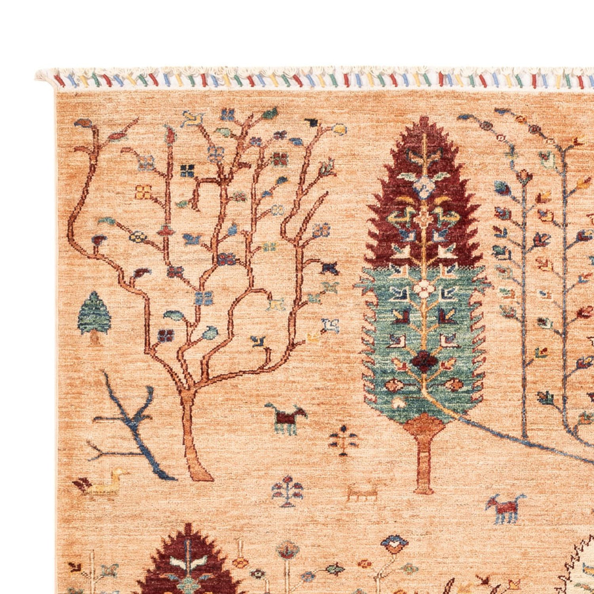 Ziegler Carpet - Ariana - 230 x 177 cm - karamel