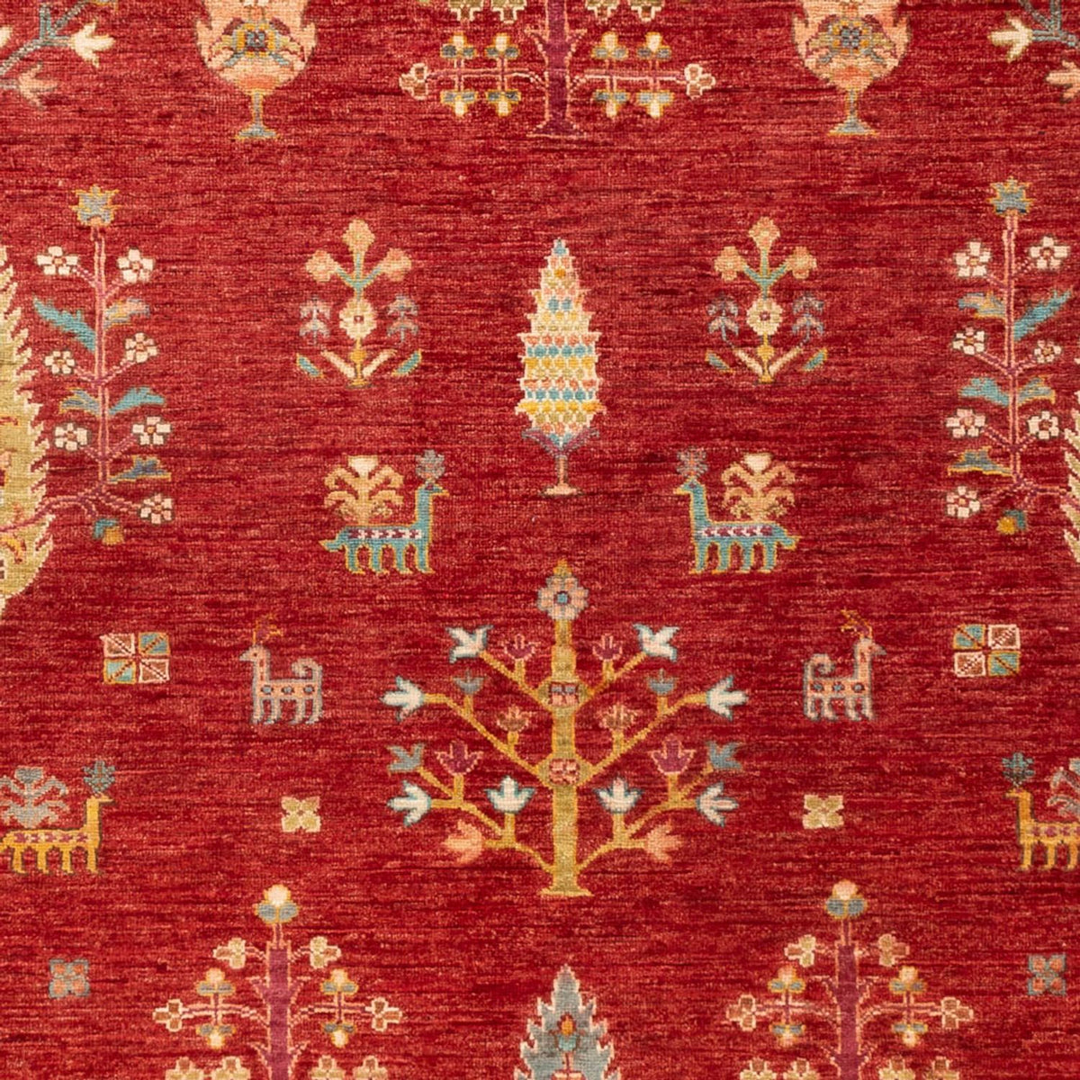 Ziegler Carpet - Ariana - 242 x 168 cm - rød