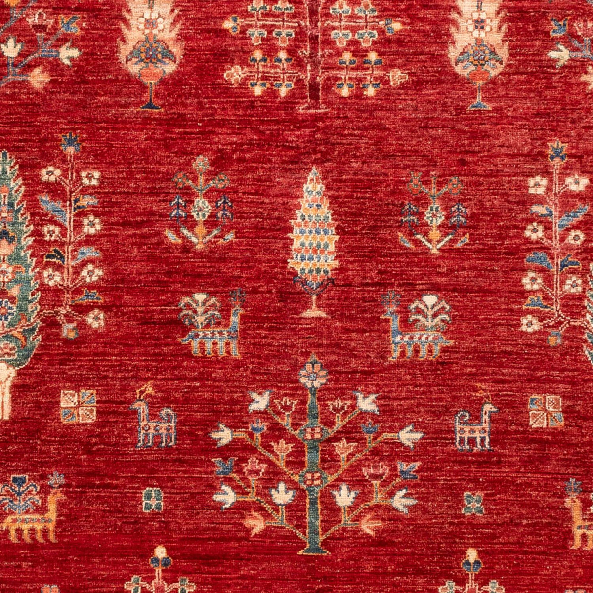 Ziegler Carpet - Ariana - 247 x 170 cm - rød