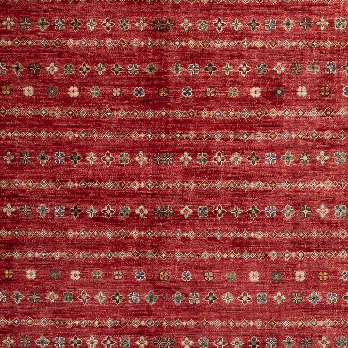 Ziegler Carpet - Shal - 268 x 183 cm - rød