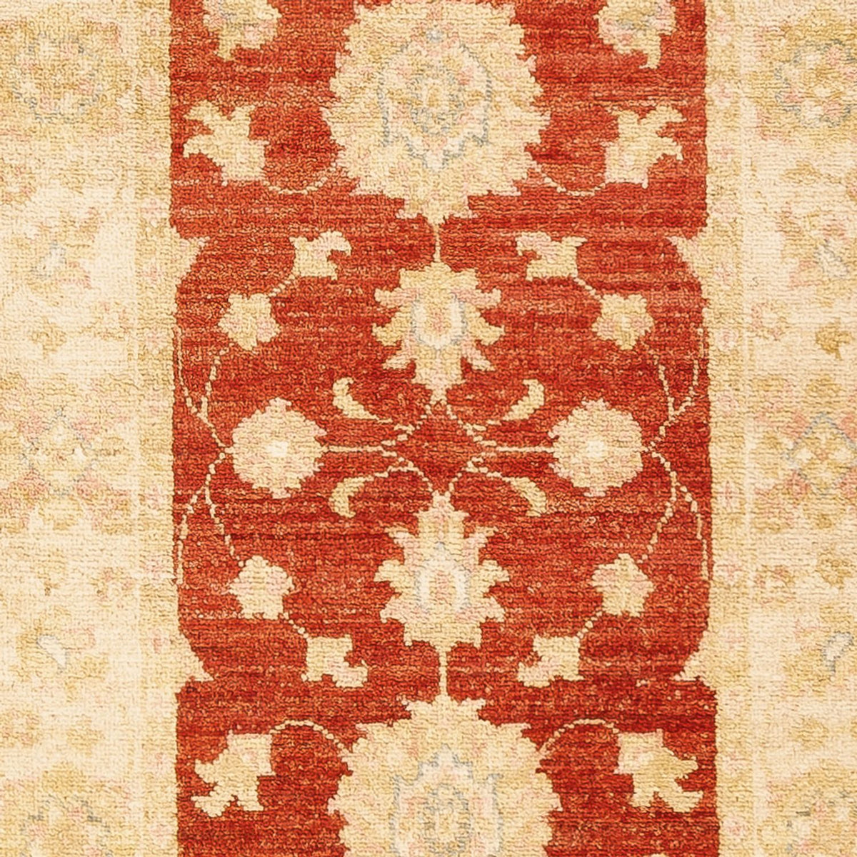 Løber Ziegler Carpet - 197 x 62 cm - rød