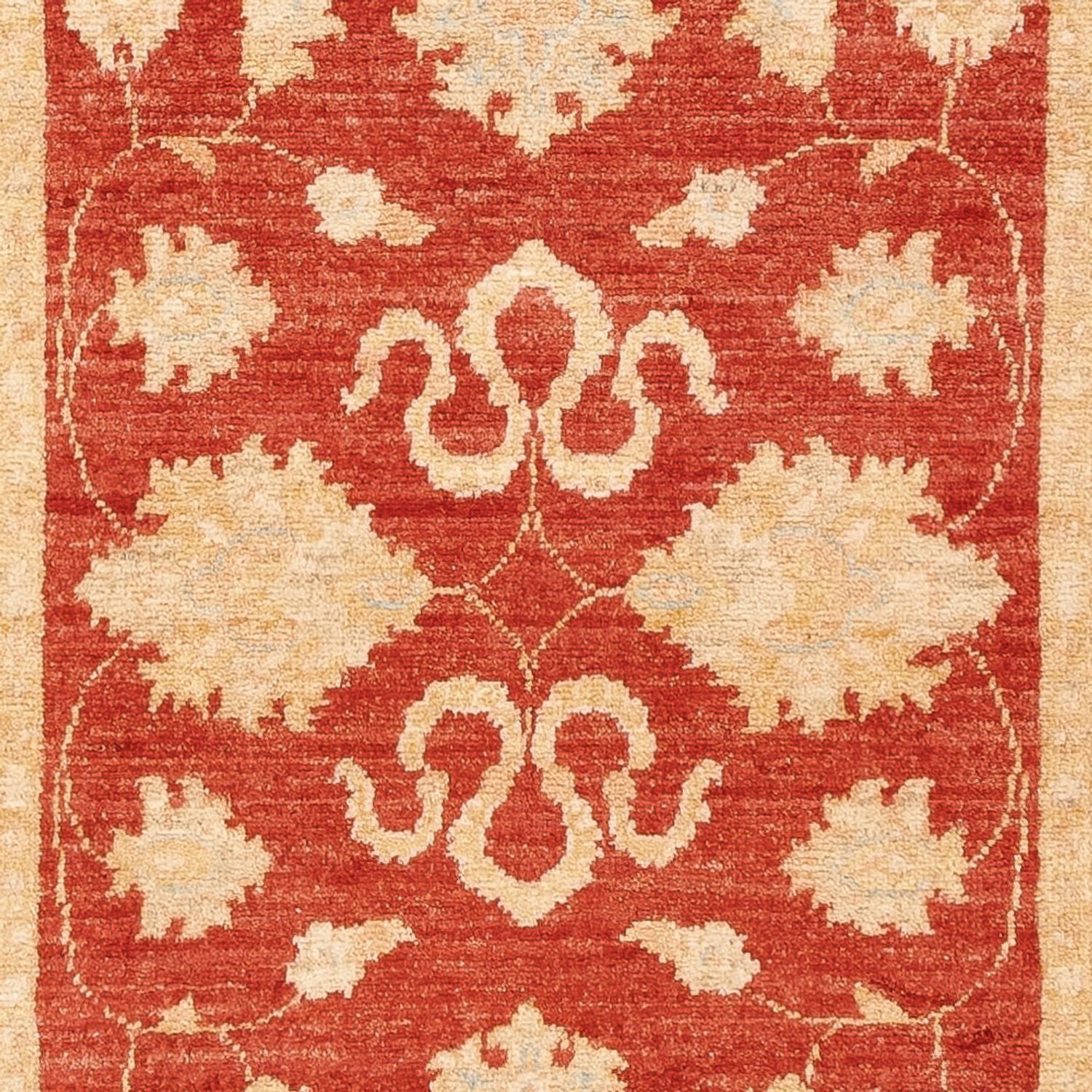 Løber Ziegler Carpet - 201 x 74 cm - rød