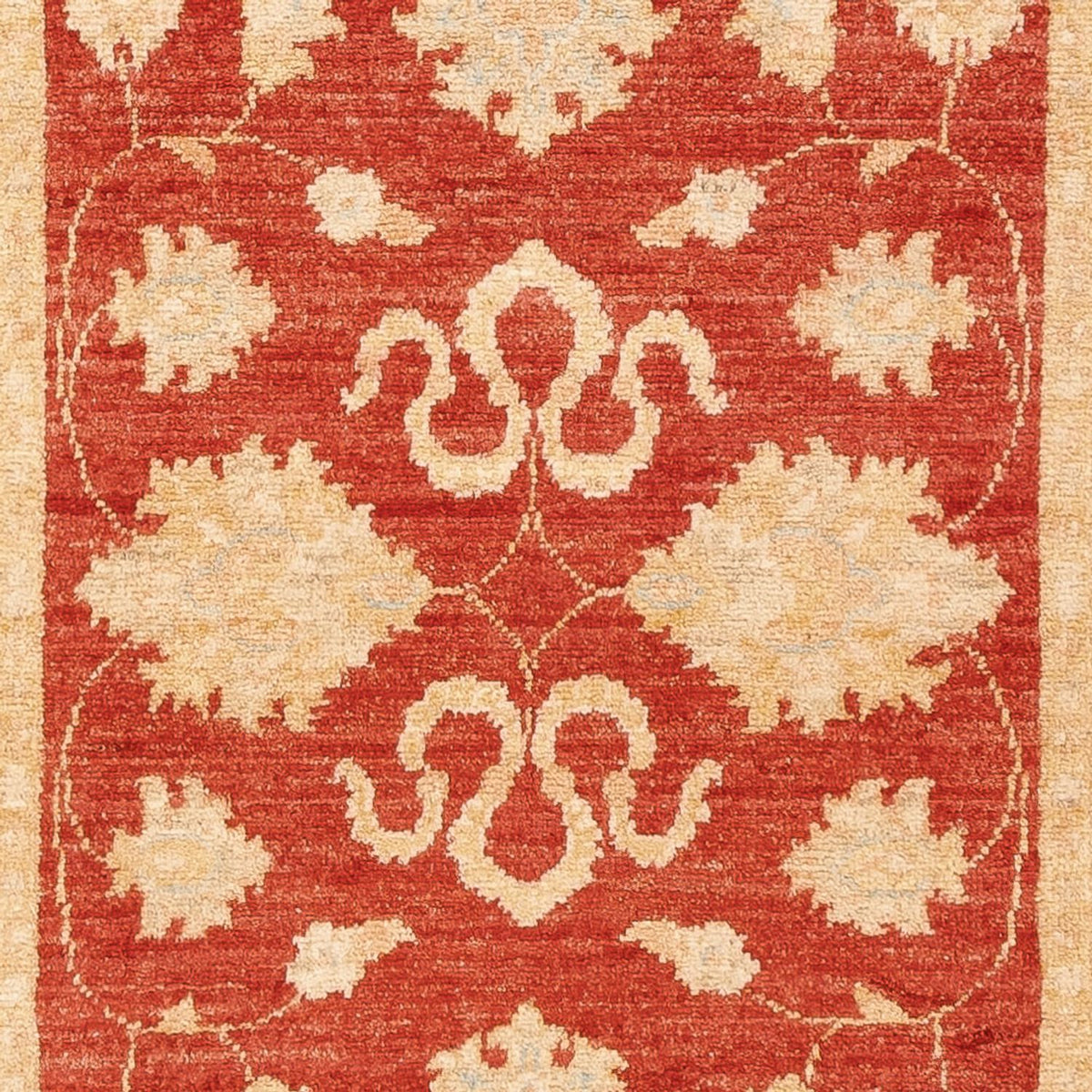 Løber Ziegler Carpet - 201 x 74 cm - rød