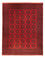 Afghansk tæppe - Filpa - 401 x 309 cm - rød