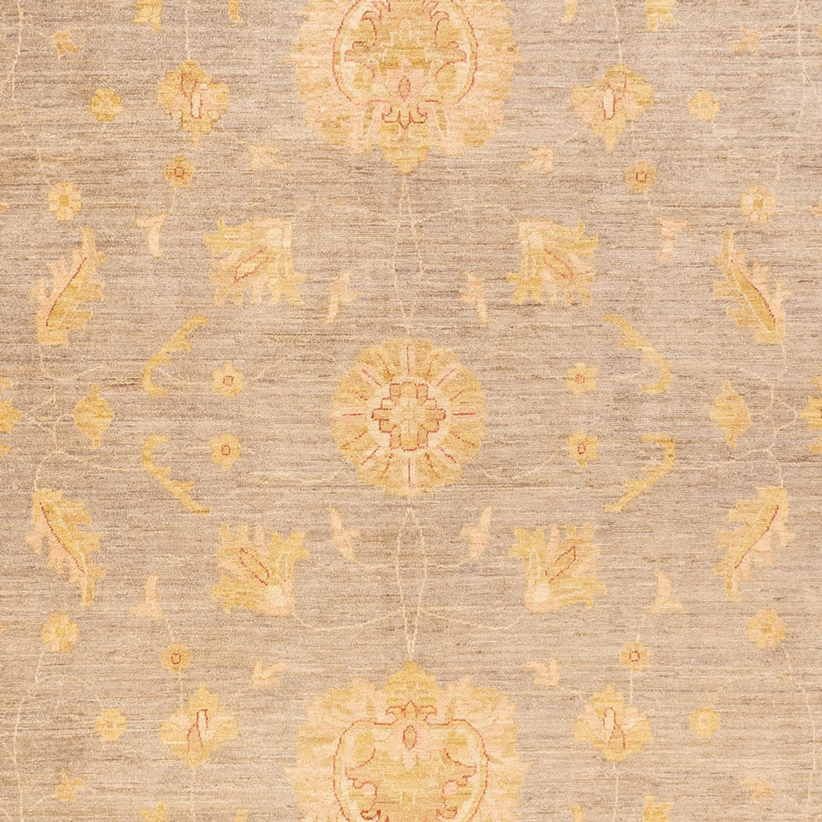 Ziegler Carpet - 397 x 304 cm - mørk beige