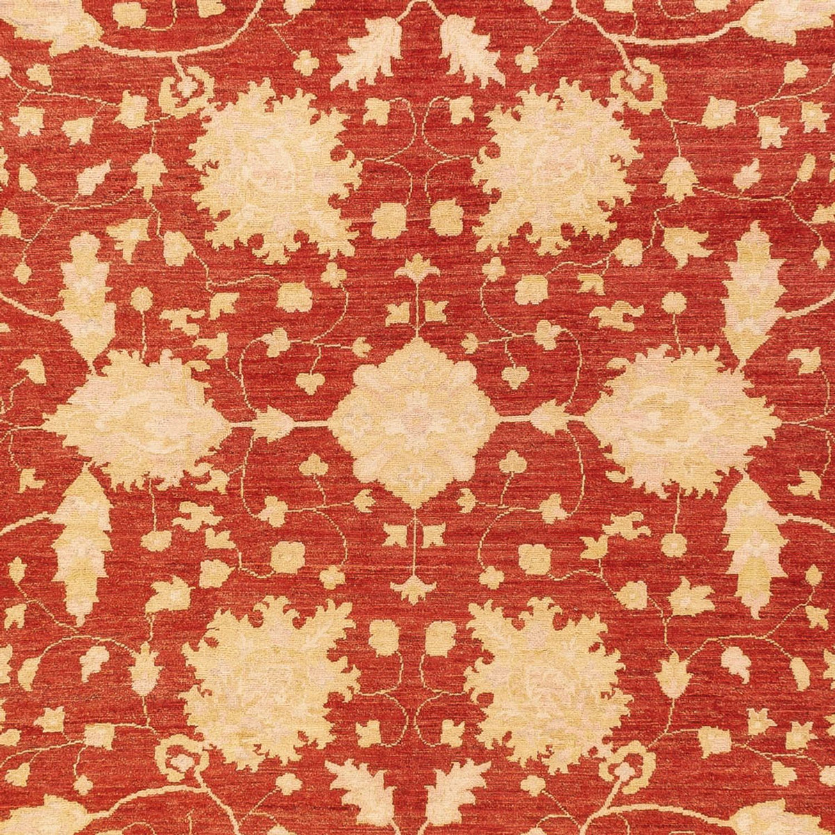 Ziegler Carpet - 399 x 305 cm - rød