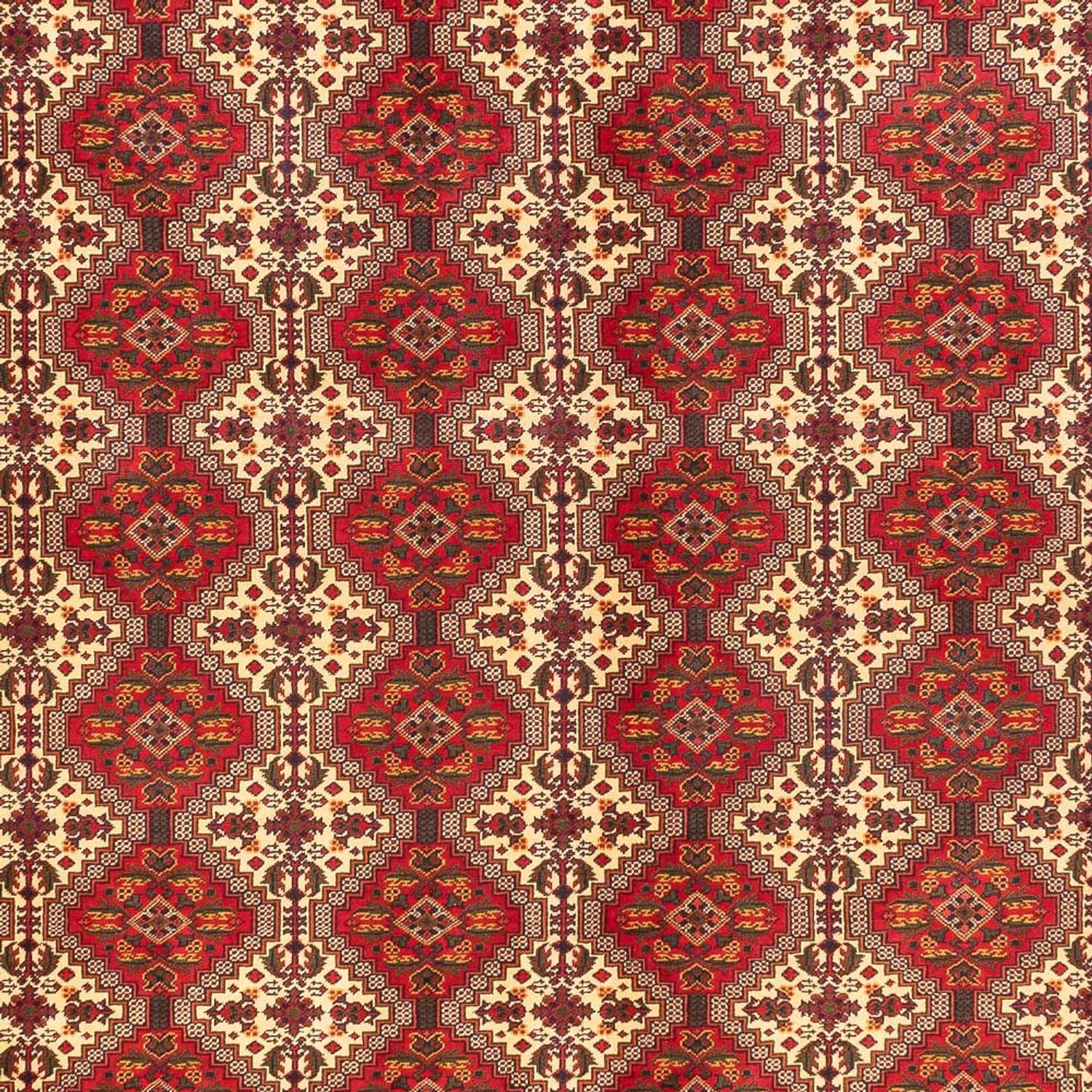 Afghansk tæppe - Royal - 385 x 300 cm - flerfarvet