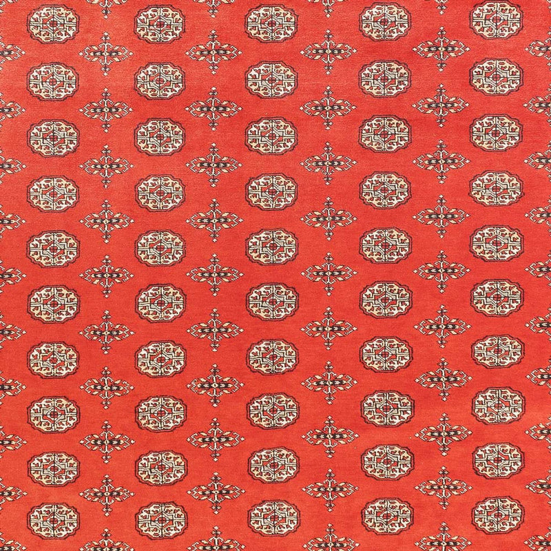 Afghansk tæppe - Bukhara - 401 x 311 cm - lysrød