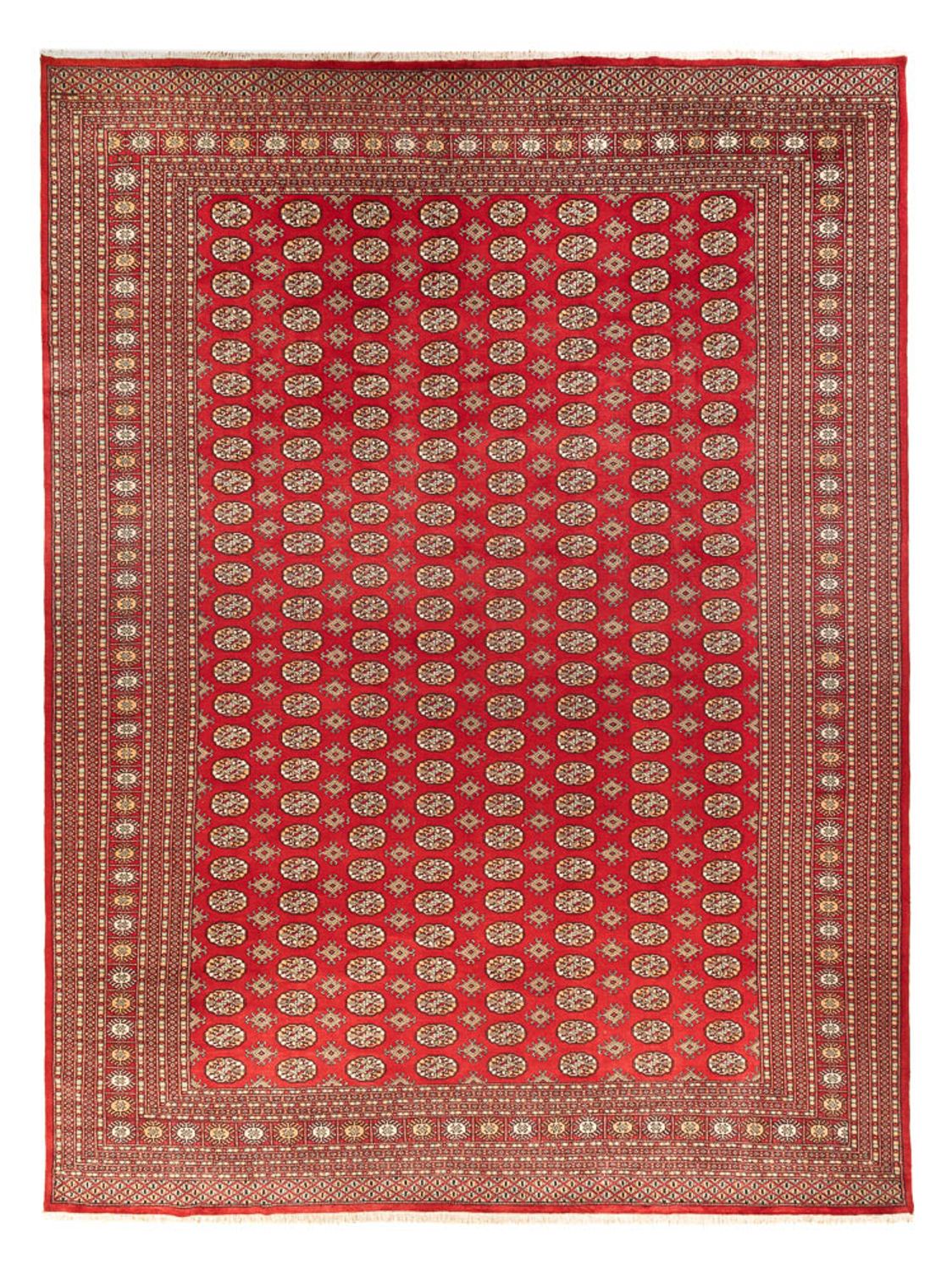 Afghansk tæppe - Bukhara - 418 x 310 cm - lysrød