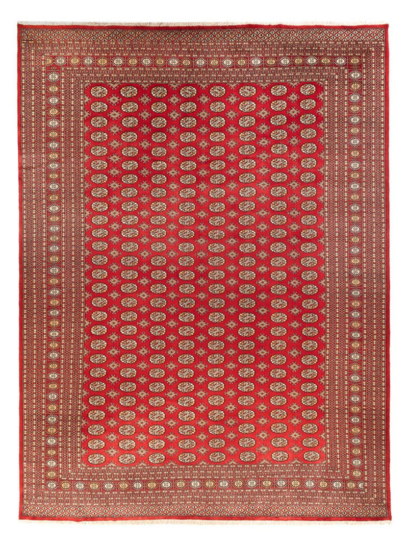Afghansk tæppe - Bukhara - 418 x 310 cm - lysrød
