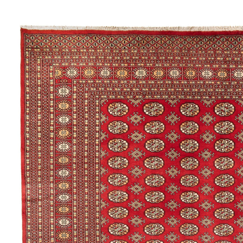 Afghansk tæppe - Bukhara - 418 x 310 cm - lysrød