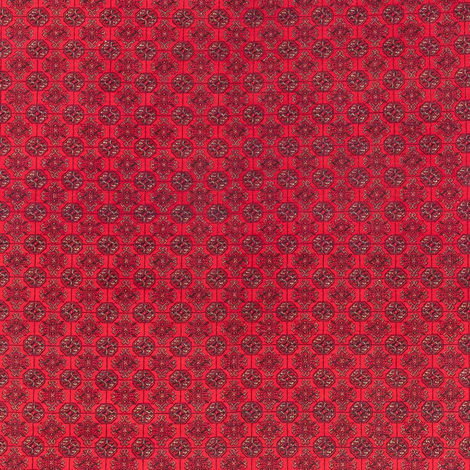 Afghansk tæppe - Royal - 380 x 292 cm - rød