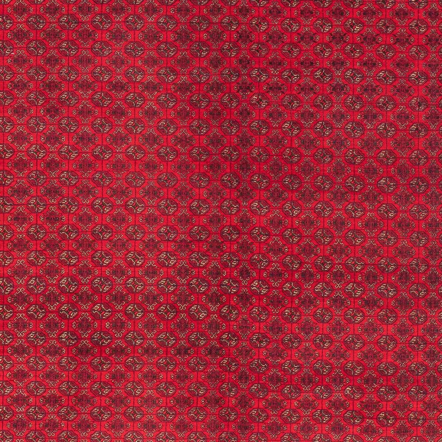 Afghansk tæppe - Royal - 404 x 294 cm - rød