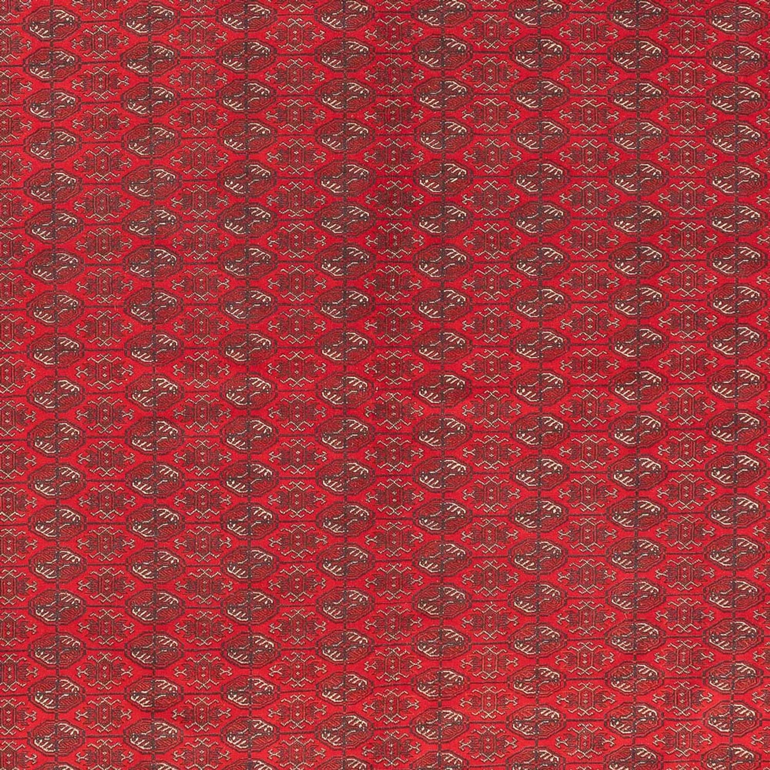 Afghansk tæppe - Royal - 400 x 305 cm - rød