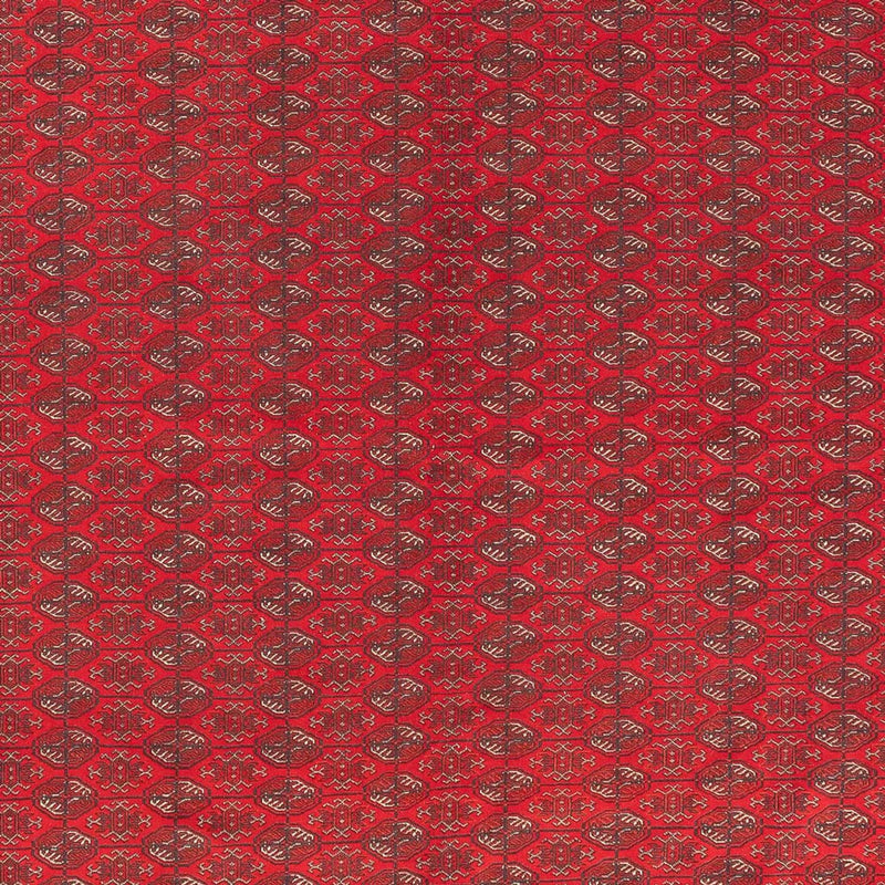 Afghansk tæppe - Royal - 400 x 305 cm - rød