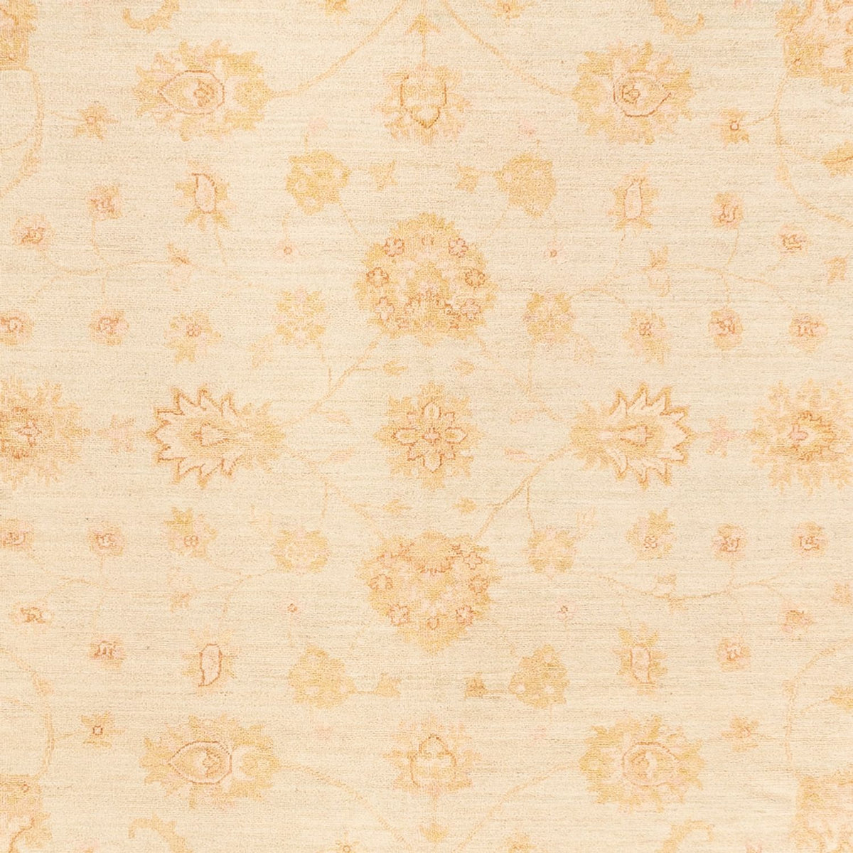 Ziegler Carpet - 351 x 253 cm - lyseblå