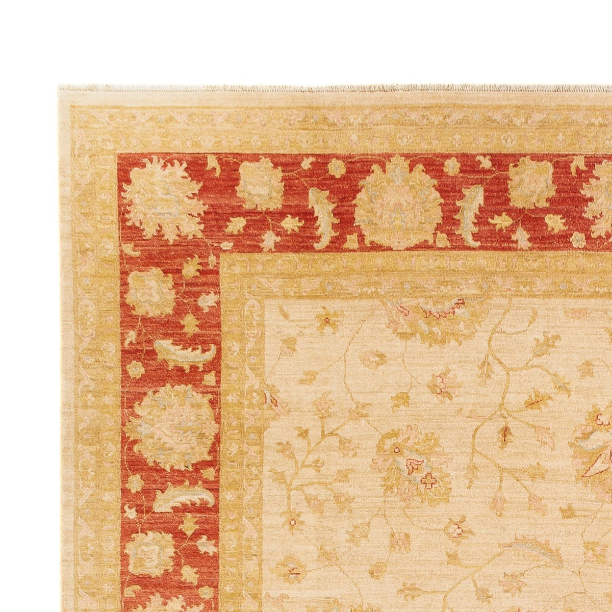 Ziegler Carpet 273x365cm - Orientalsk tæppe