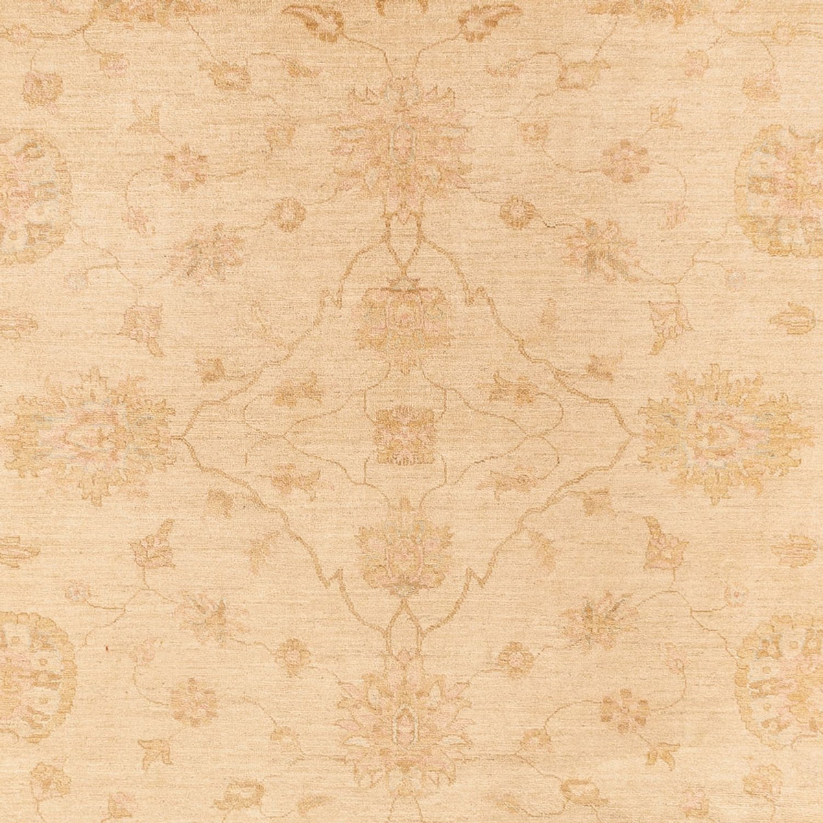 Ziegler Carpet - 375 x 273 cm - beige