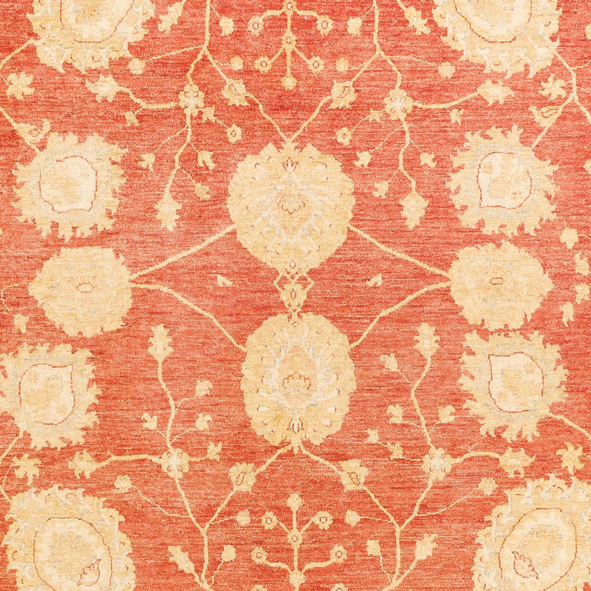 Ziegler Carpet - 366 x 277 cm - rød