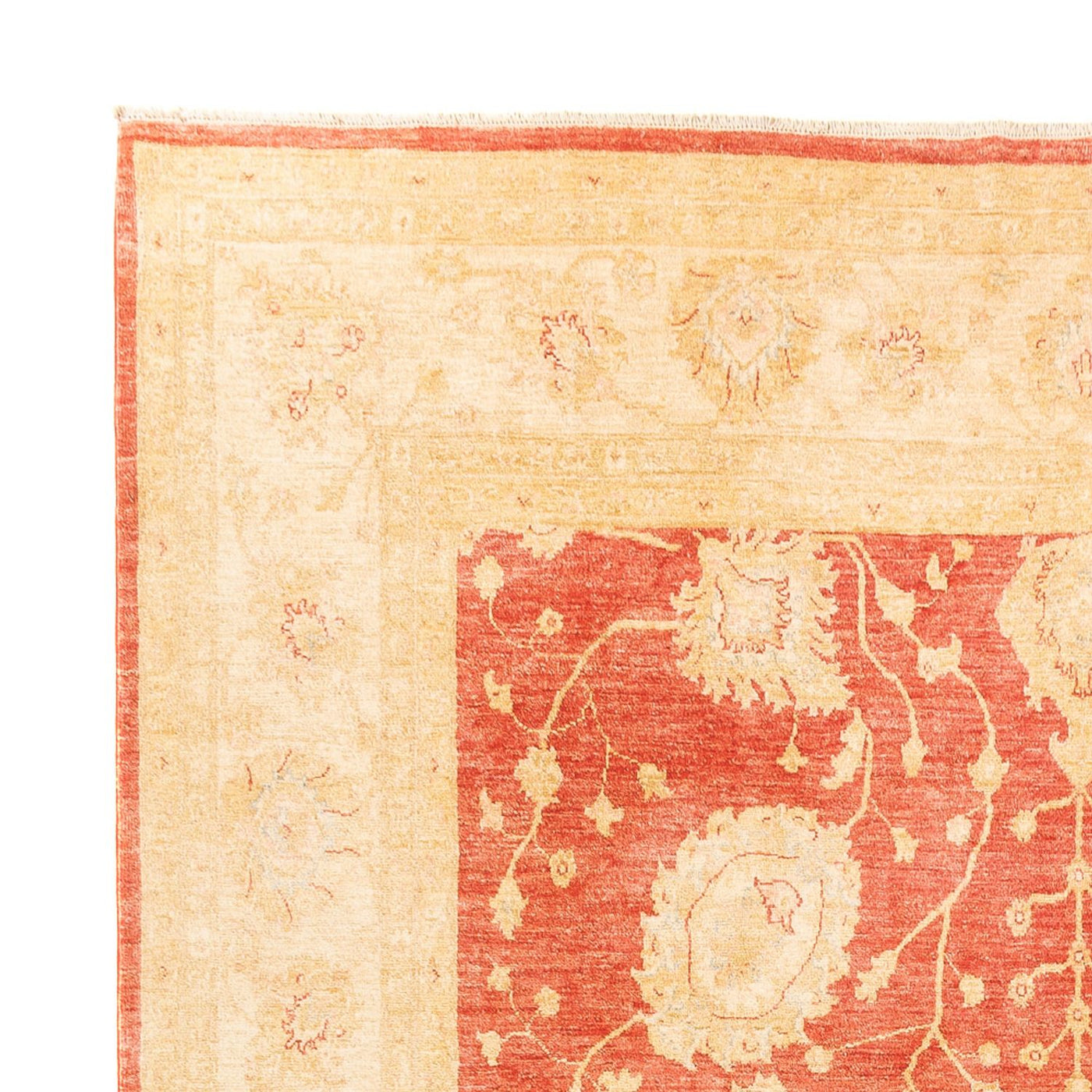 Ziegler Carpet 366x277cm - Orientalsk tæppe
