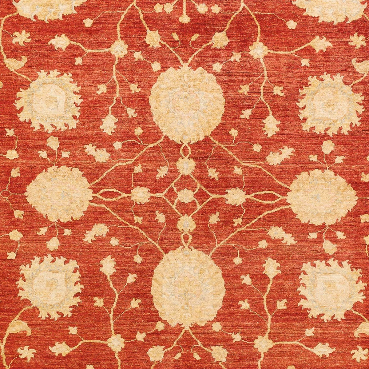 Ziegler Carpet - 359 x 265 cm - rød