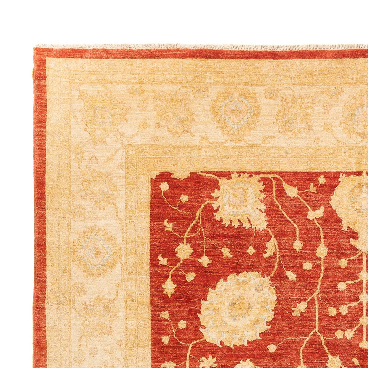 Ziegler Carpet 265x359cm - Orientalsk tæppe
