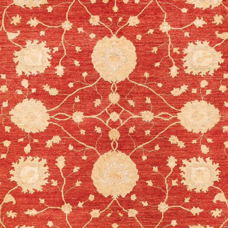 Ziegler Carpet - 367 x 277 cm - rød