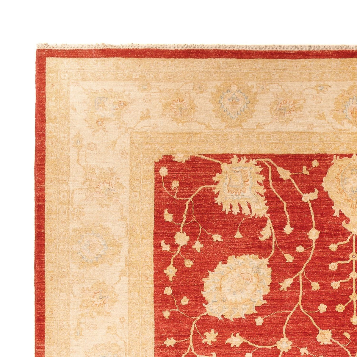 Ziegler Carpet 277x367cm - Orientalsk tæppe