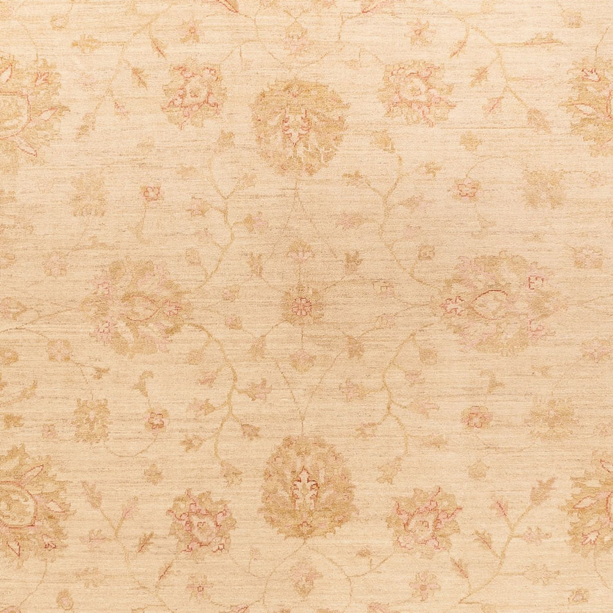 Ziegler Carpet - 363 x 272 cm - beige