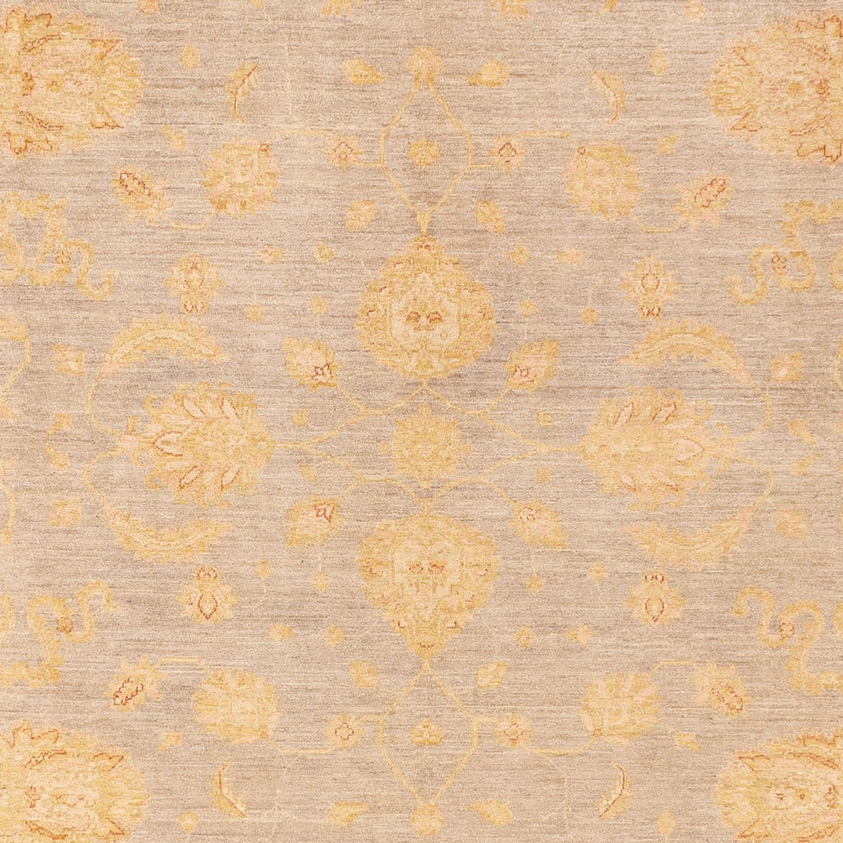 Ziegler Carpet - 360 x 271 cm - mørk beige