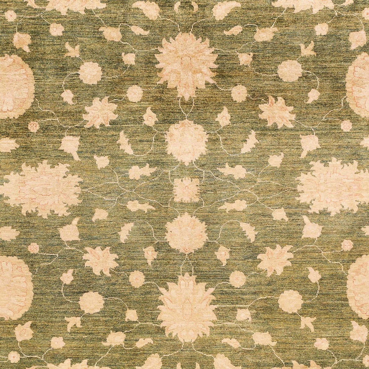 Ziegler Carpet - 365 x 275 cm - olivengrøn
