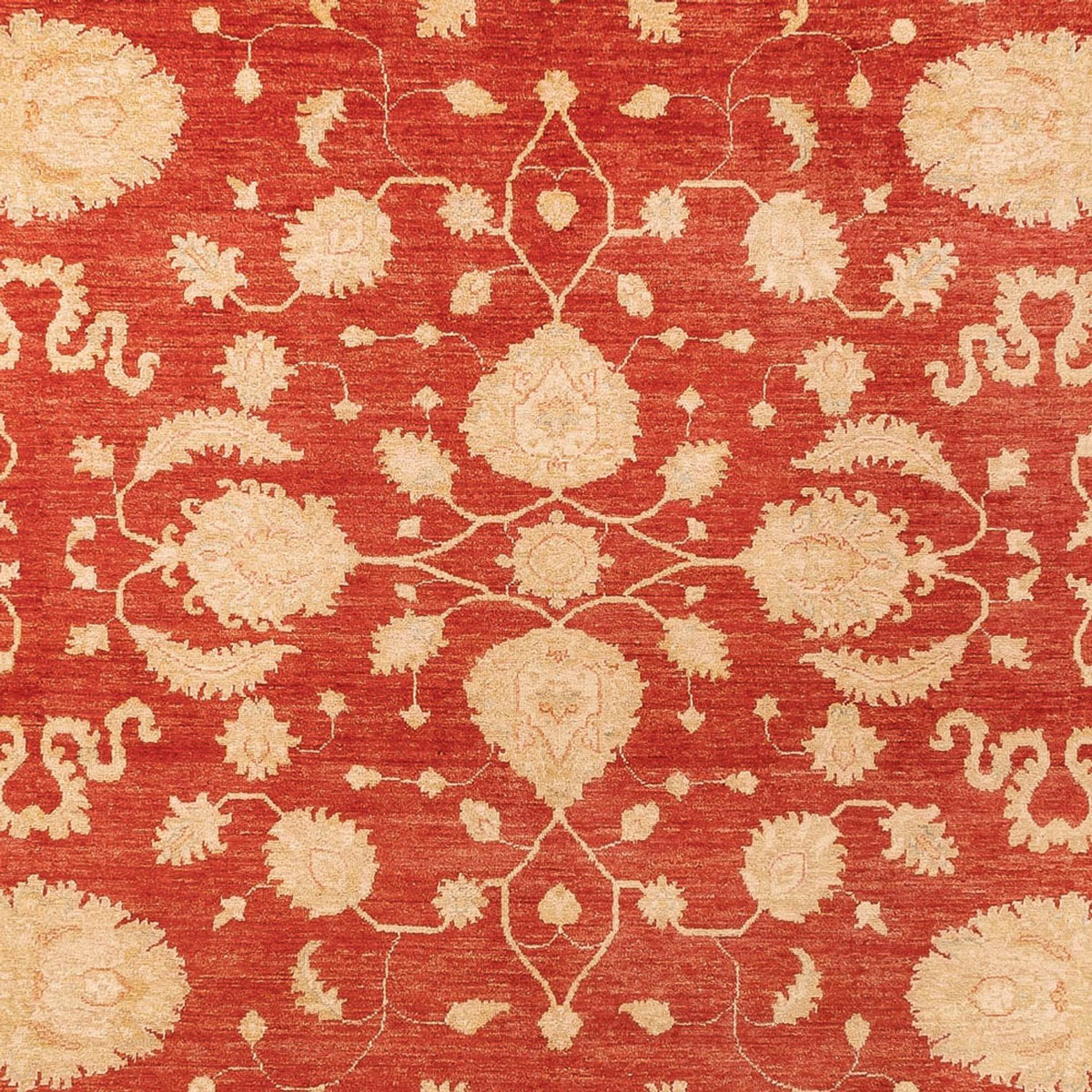 Ziegler Carpet - 361 x 272 cm - rød