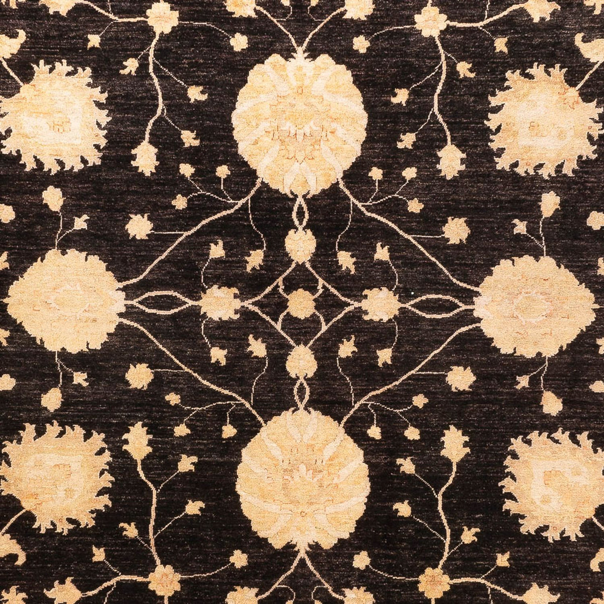 Ziegler Carpet - Ariana - 374 x 277 cm - sort