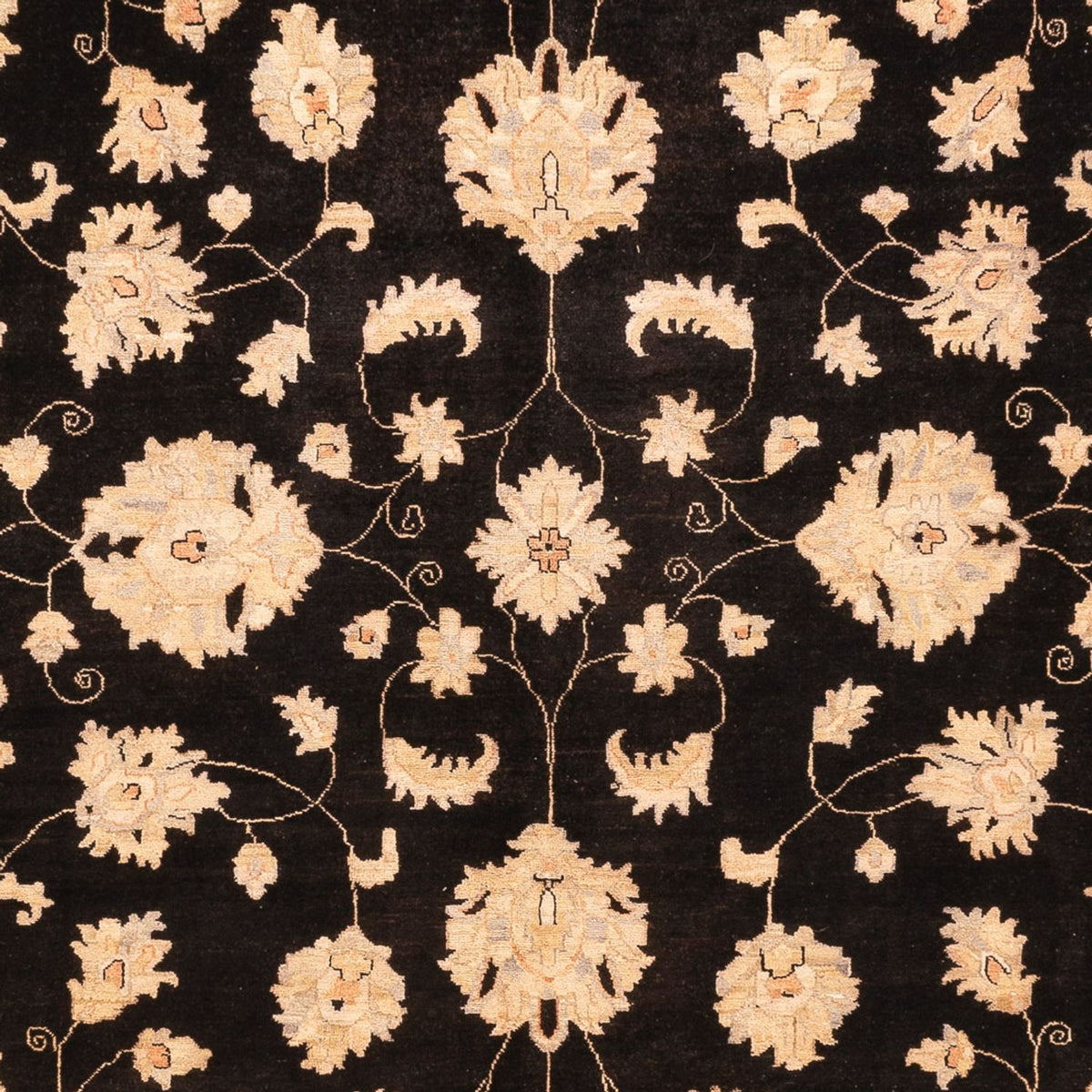 Ziegler Carpet - 360 x 276 cm - sort