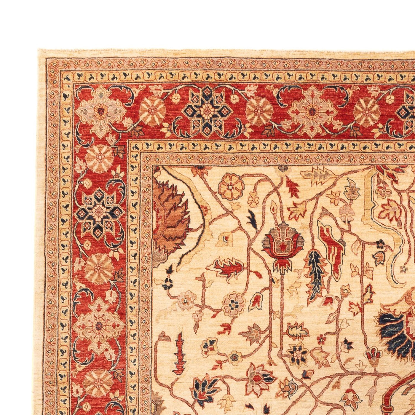 Ziegler Carpet 365x276cm - Orientalsk tæppe
