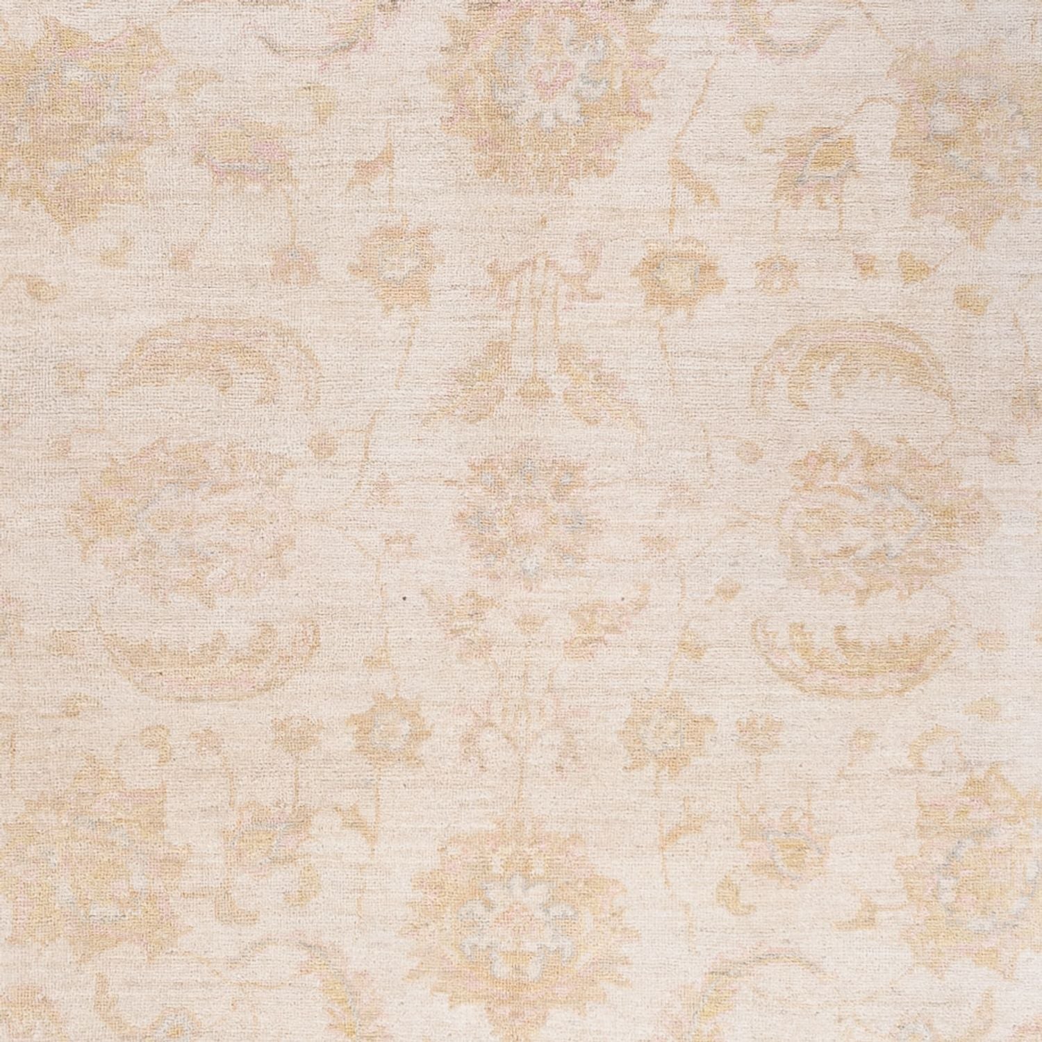 Ziegler Carpet - 240 x 162 cm - creme