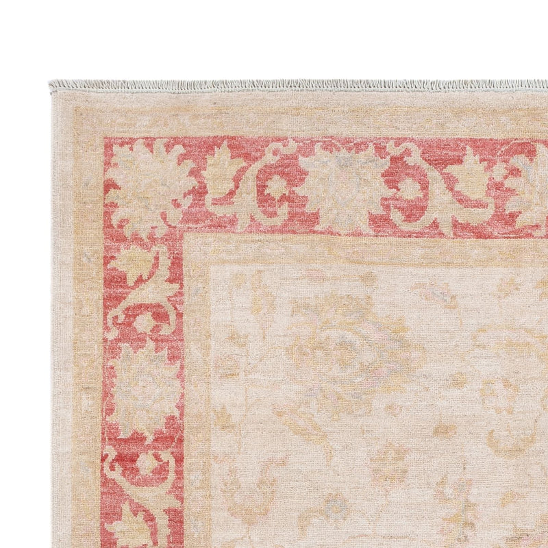 Ziegler Carpet - 240 x 162 cm - creme