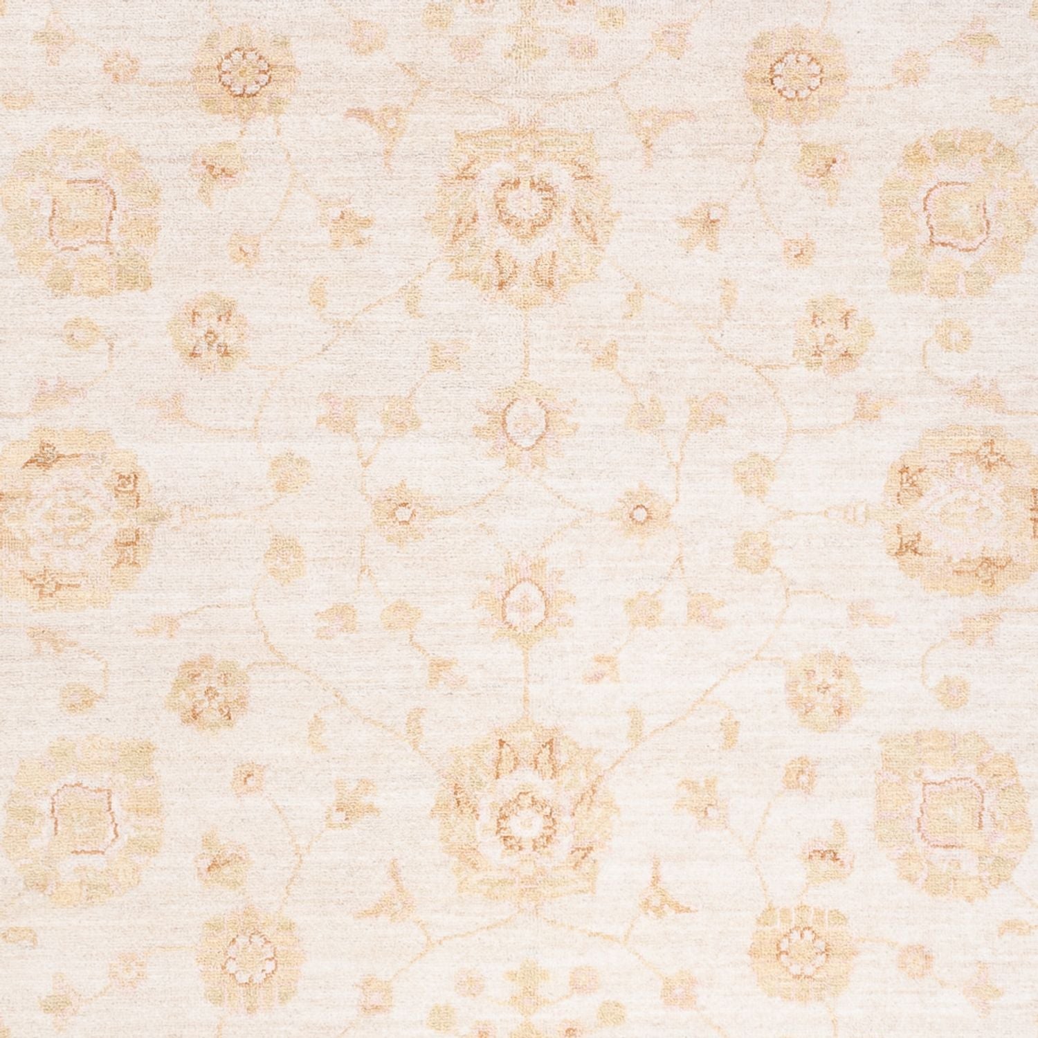 Ziegler Carpet - 240 x 171 cm - creme